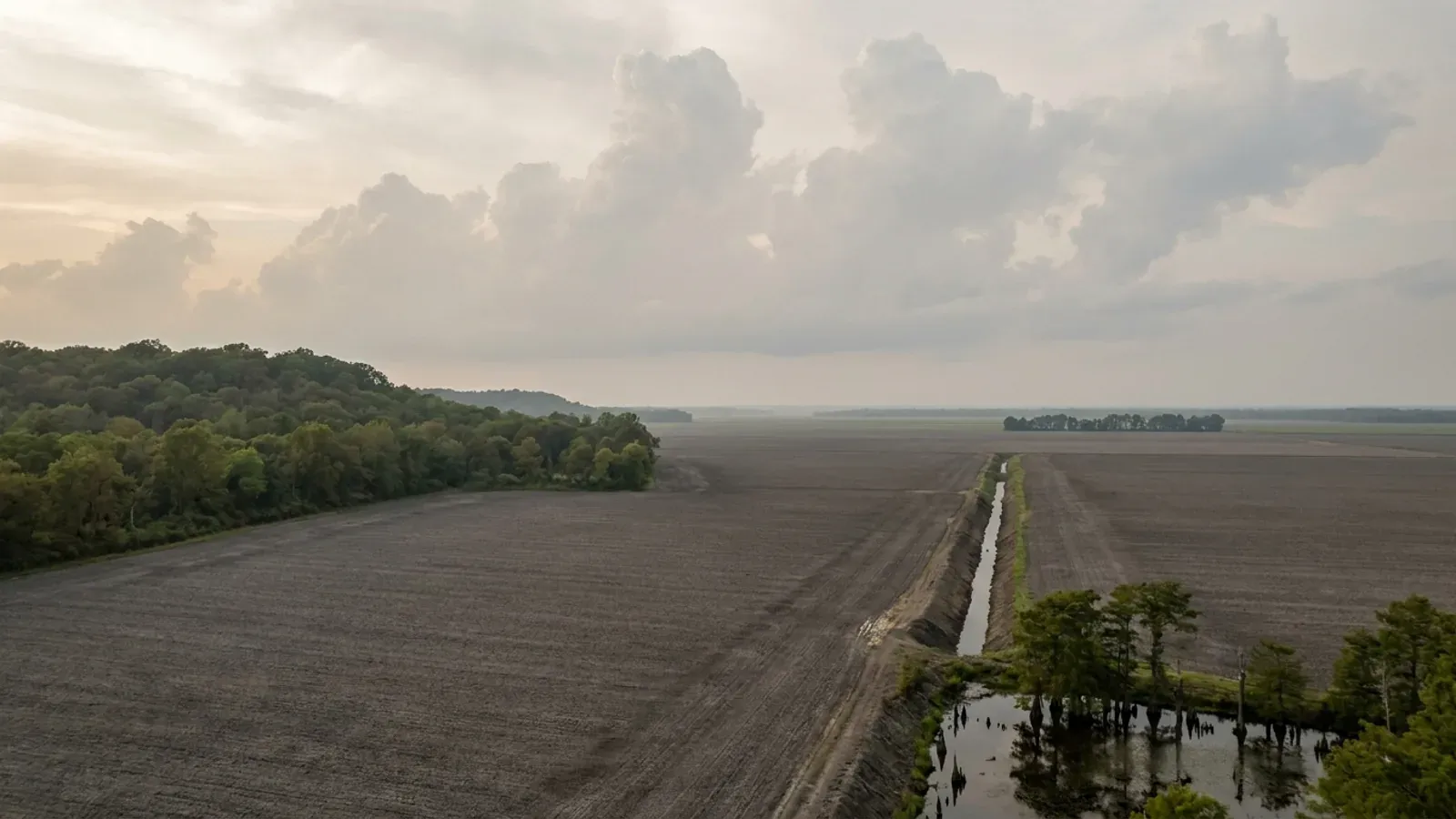 The Ozark escarpment dropping to flat Bootheel farmland with dark alluvial soil, a straight drainage ditch and a cypress slough.